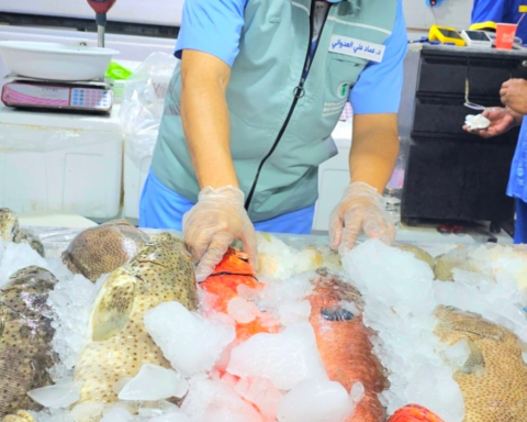 ضبط طن أسماك فاسدة في جدة | جهود وزارة البيئة لحماية الغذاء