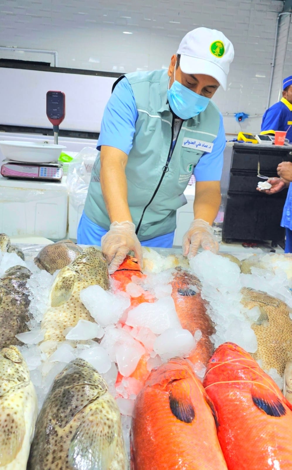 ضبط طن أسماك فاسدة في جدة | جهود وزارة البيئة لحماية الغذاء