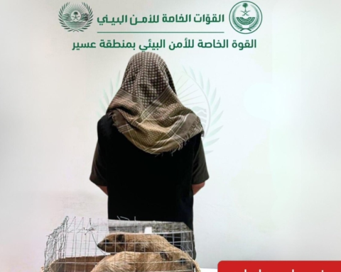 A person was arrested in Asir for violating environmental regulations by selling wild animals