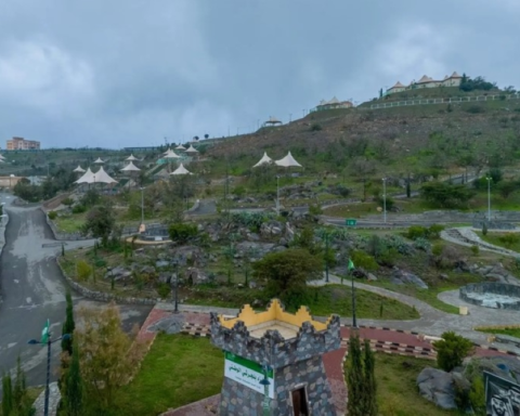 100 environmental investment opportunities in Saudi Arabia to support vegetation cover