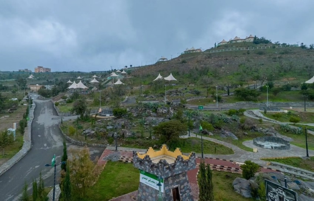 100 فرصة استثمارية بيئية في السعودية لدعم الغطاء النباتي