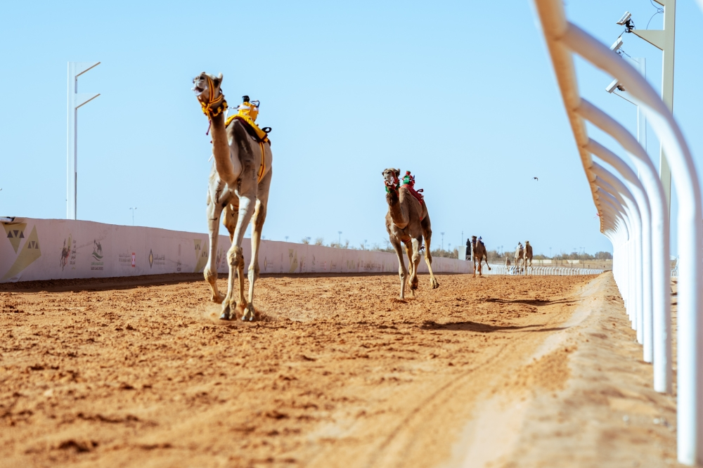 مستثمر أمريكي: مهرجان الهجن يعكس أصالة رؤية السعودية 2030