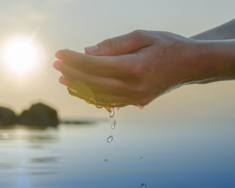 كاوست تبتكر تقنية ثورية لتحلية المياه بكفاءة عالية وطاقة أقل