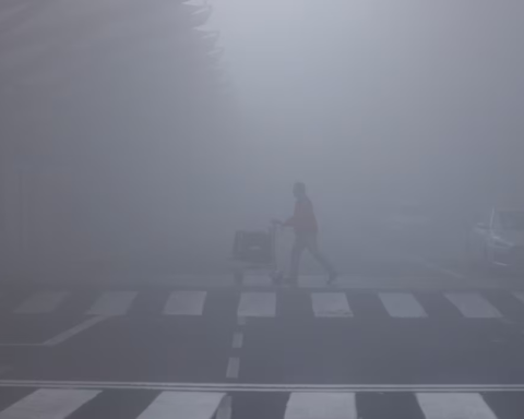 Fog in Saudi Arabia: Visibility warning issued for 5 regions today