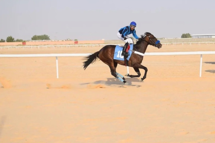 شروط تنظيم رياضة الفروسية في السعودية بمعايير عالمية جديدة