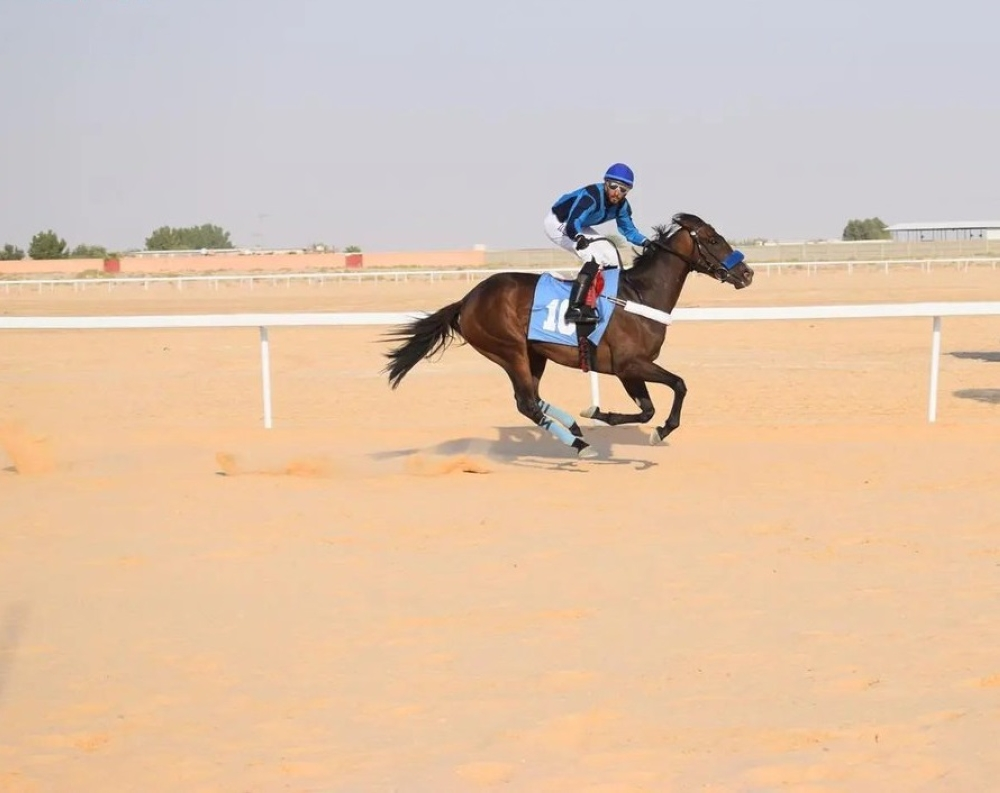 شروط تنظيم رياضة الفروسية في السعودية بمعايير عالمية جديدة