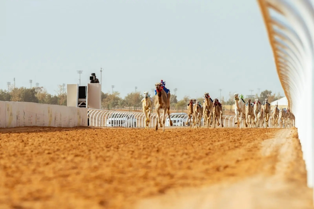 قرية الجنادرية: استثمار التراث في مهرجان الهجن ورؤية 2030
