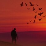 انتهاء موسم الصيد في السعودية 2026 وجهود حماية الحياة الفطرية