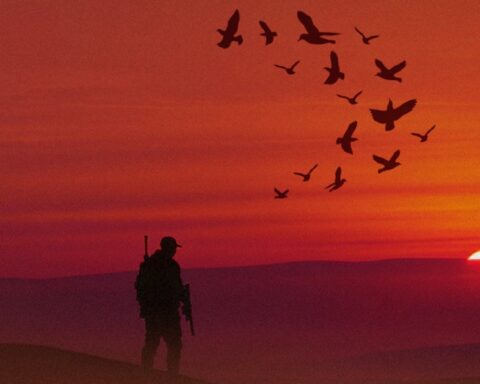 انتهاء موسم الصيد في السعودية 2026 وجهود حماية الحياة الفطرية