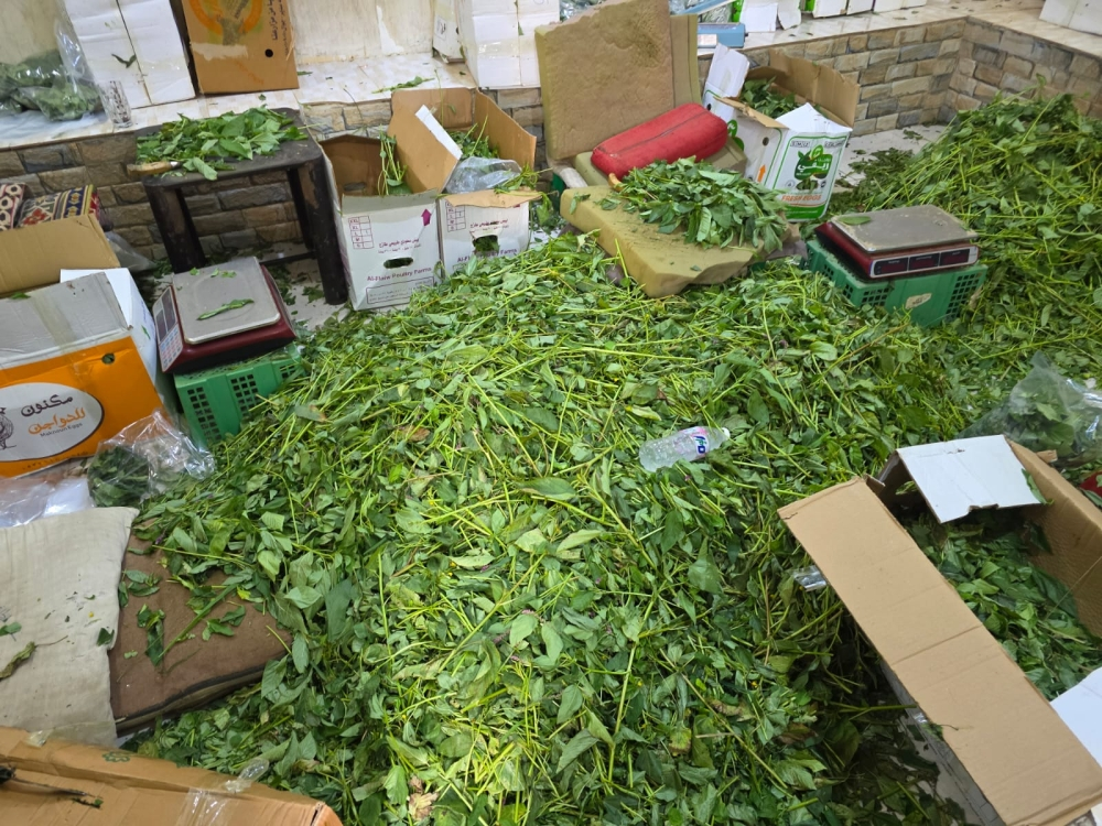 أمانة جدة تغلق مواقع عشوائية وتتلف أغذية فاسدة