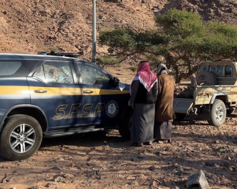 Violators caught cutting down trees in Tabuk as part of environmental protection efforts