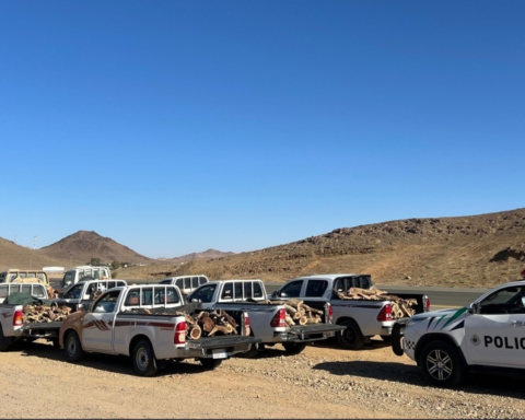 ضبط 9 مخالفين لنظام البيئة في تبوك بحوزتهم حطب محلي للبيع