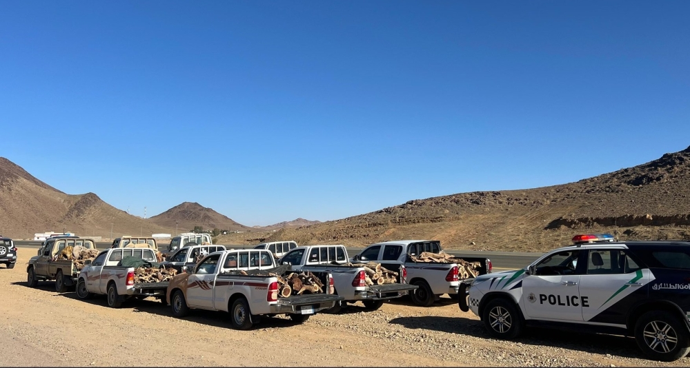 ضبط 9 مخالفين لنظام البيئة في تبوك بحوزتهم حطب محلي للبيع