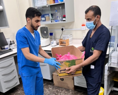 البيئة تلاحق متبقيات المبيدات بأسواق مكة لتعزيز سلامة الغذاء