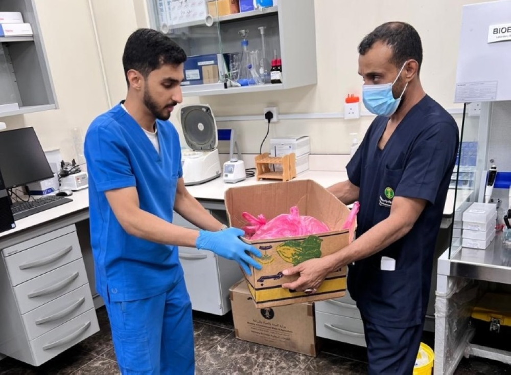 البيئة تلاحق متبقيات المبيدات بأسواق مكة لتعزيز سلامة الغذاء