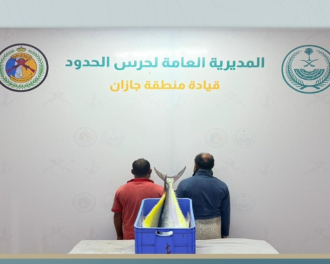 جازان: ضبط مخالفين لأنظمة الصيد وحماية الثروة البحرية