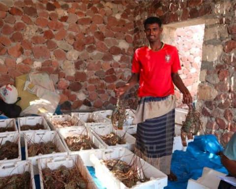 إعادة تأهيل خيصة الصيادين بسقطرى: دعم سعودي للاقتصاد اليمني