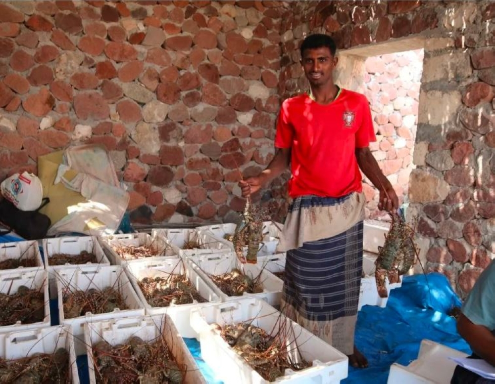 إعادة تأهيل خيصة الصيادين بسقطرى: دعم سعودي للاقتصاد اليمني