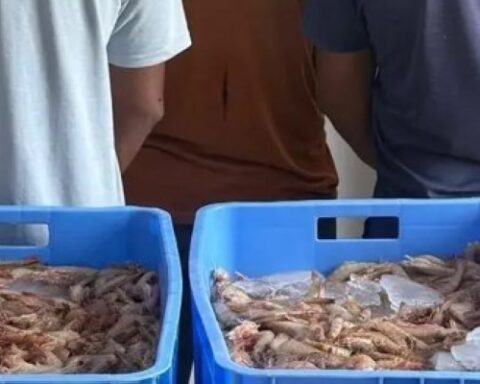 Five people were arrested for fishing without a permit on the coasts of Mecca