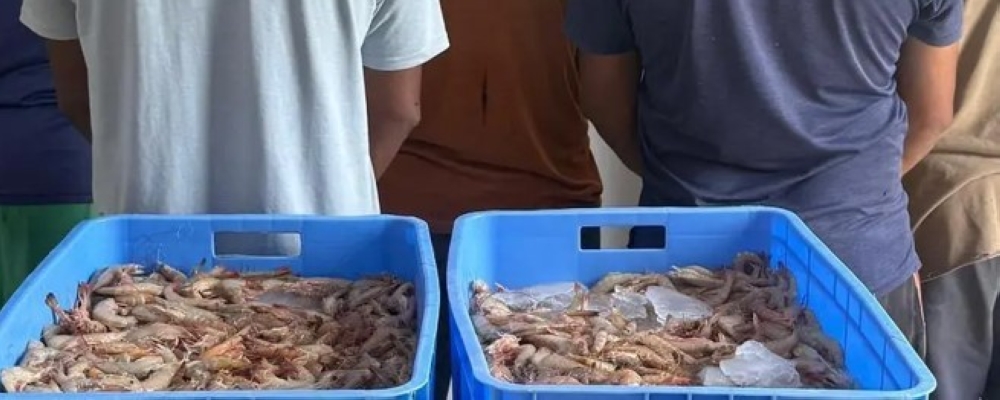 ضبط 5 مخالفين للصيد دون تصريح في سواحل مكة المكرمة