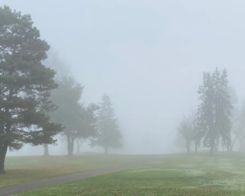 Dense fog in 6 Saudi regions | Warnings and impacts on traffic