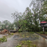 Cyclone Gamani in Madagascar: Heavy losses and a humanitarian disaster