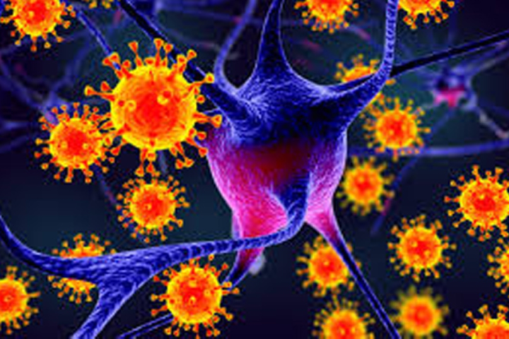 فيروس نيباه: الصحة العالمية تطمئن رغم ظهور إصابات جديدة