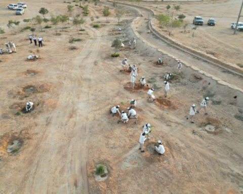 كشافة السعودية تطلق مبادرة لتشجير منتزه الملك سلمان