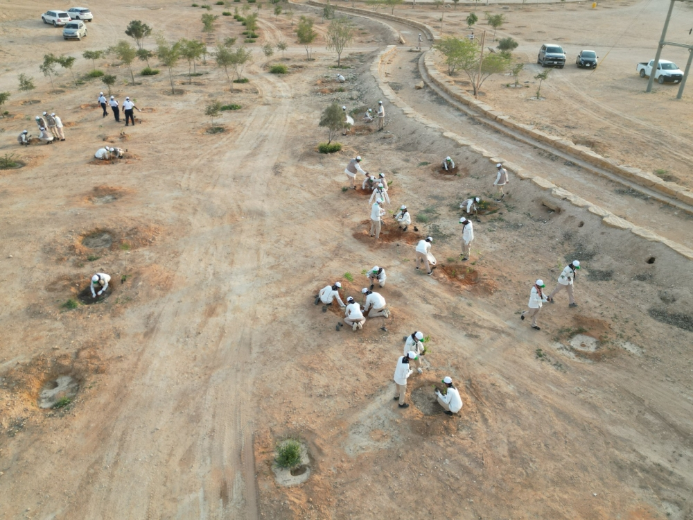 كشافة السعودية تطلق مبادرة لتشجير منتزه الملك سلمان