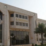 المتقدمة للبتروكيماويات: تحول تاريخي للربحية في 2025