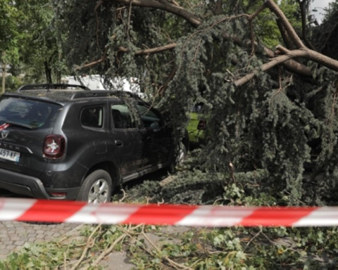 العاصفة نيلز في فرنسا: قتيل وانقطاع واسع للكهرباء