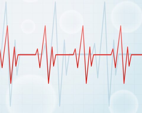 Chile earthquake of magnitude 6.6: No casualties thanks to advance preparations