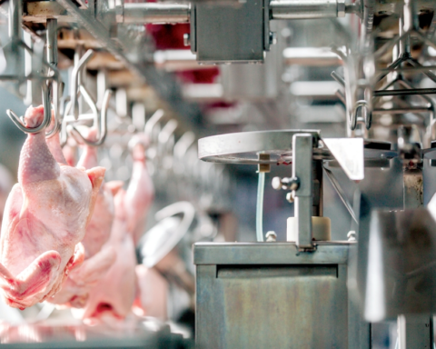 ارتفاع أسعار اللحوم والدواجن في السعودية | تقرير يناير