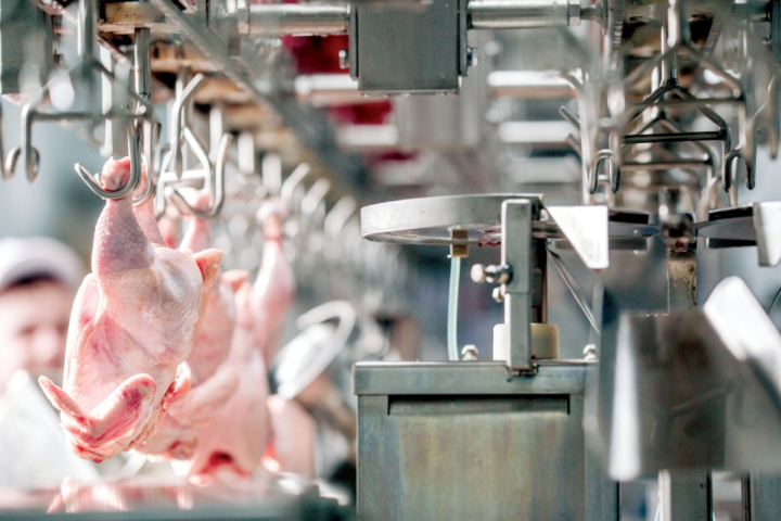 ارتفاع أسعار اللحوم والدواجن في السعودية | تقرير يناير