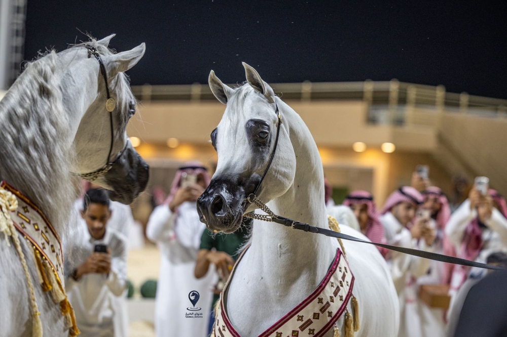 ختام بطولة الإنتاج المحلي للخيل العربية 2026 في الرياض