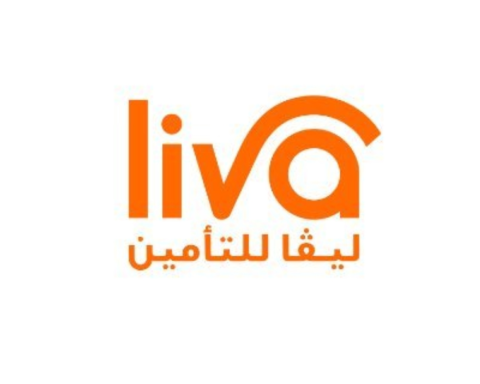 Leva Insurance profits to decline in 2025: Reasons and forecasts