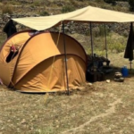 الأمن البيئي يضبط مخالفات بالمحميات الملكية السعودية