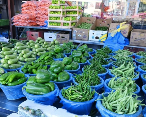 رقابة تجارية بالمدينة المنورة: 499 مخالفة قبل رمضان