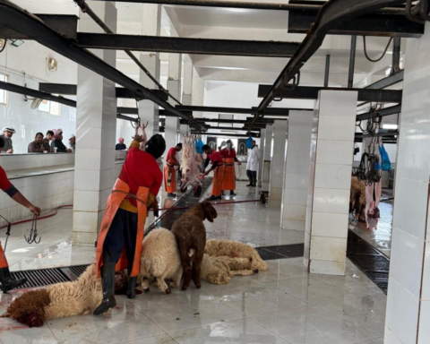 بيئة حفر الباطن: رقابة مشددة على المسالخ استعدادًا لرمضان