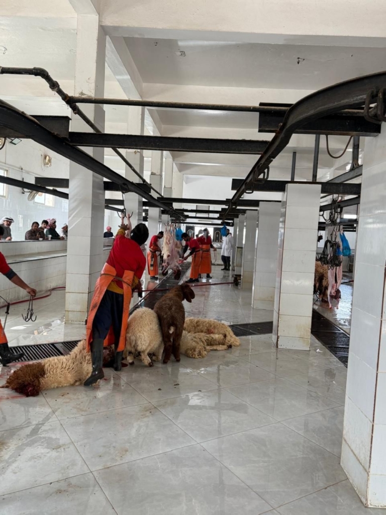 بيئة حفر الباطن: رقابة مشددة على المسالخ استعدادًا لرمضان