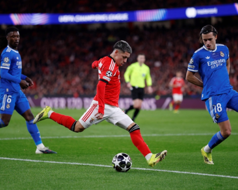 هدف فينيسيوس يحسم فوز ريال مدريد على بنفيكا بدوري الأبطال