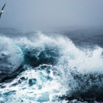 Weather in Saudi Arabia: Dust-raising winds in 7 regions