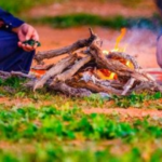 ضبط مخالف أتلف غطاءً نباتياً في محمية الأمير محمد بن سلمان