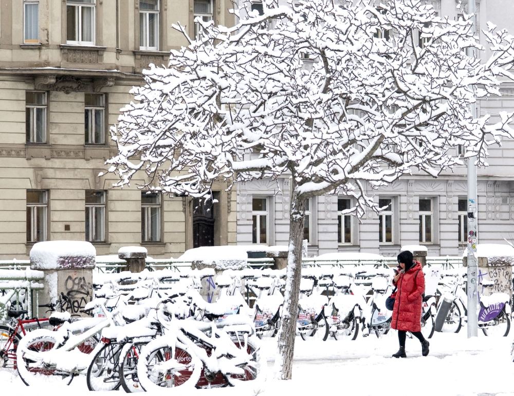 عاصفة ثلجية في النمسا تخلف 5 قتلى وتعطل الحياة