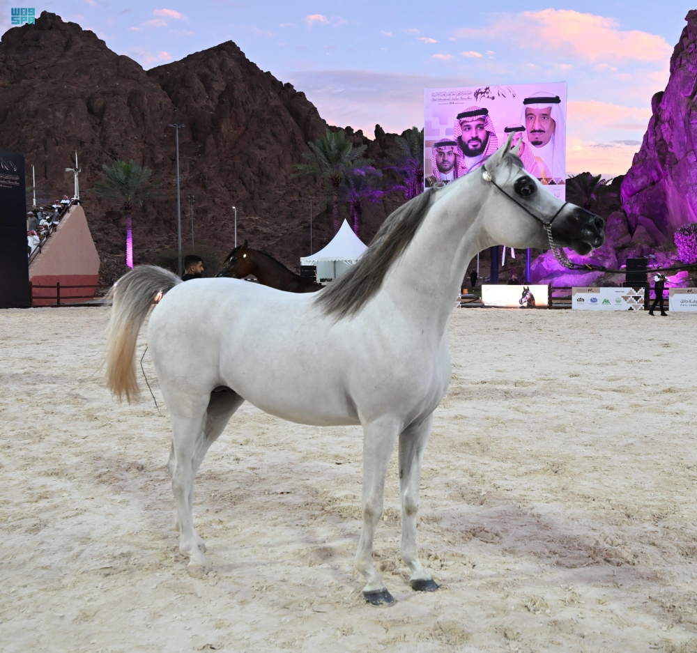 الخيل العربي: أيقونة التراث وإلهام الفن والشعر في الثقافة العربية