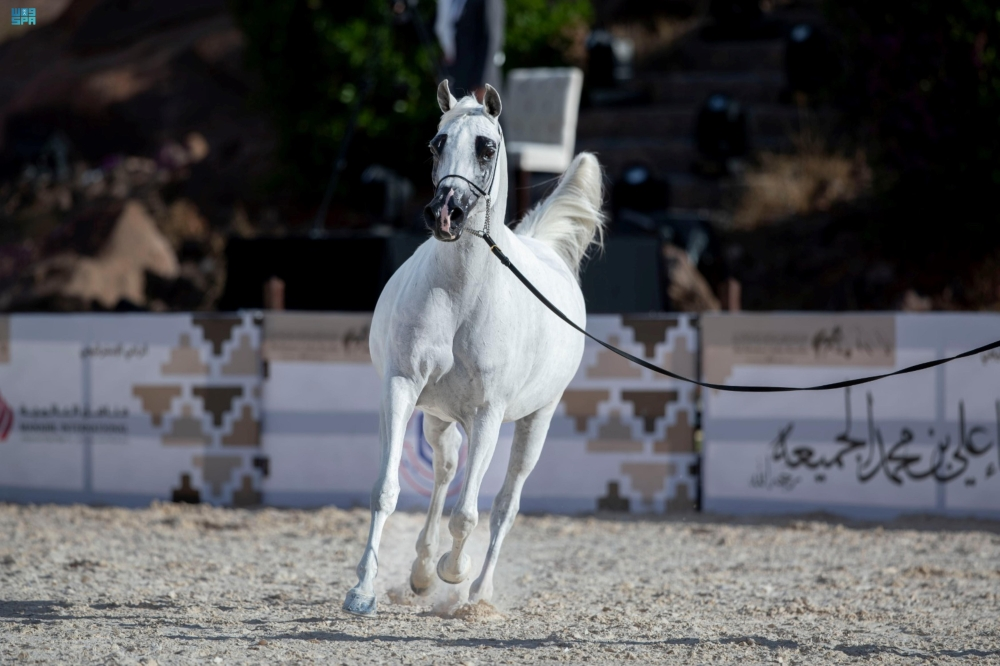 لوحة فنية تجسد جمال الخيل العربي الأصيل