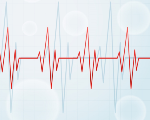 Fiji earthquake of magnitude 6: Details of the deep tremor in the Pacific Ocean
