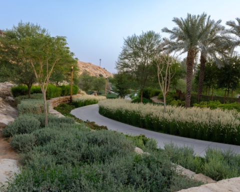 وادي حنيفة: مهد الدولة السعودية الأولى وعاصمتها التاريخية