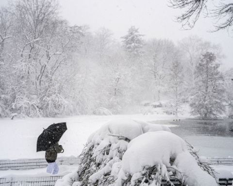عاصفة ثلجية في نيويورك: طوارئ وحظر تنقل وتفاصيل الطقس