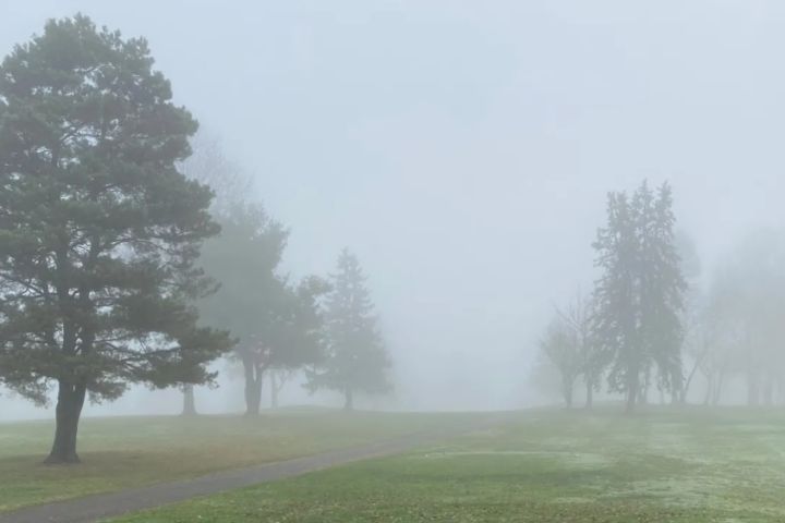 طقس السعودية: تحذير من ضباب كثيف وتدنٍ في الرؤية بـ 5 مناطق